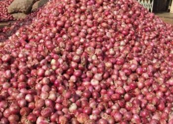 মিসর থেকে সেই ফ্লাইট এসেছে, পেঁয়াজ আসেনি