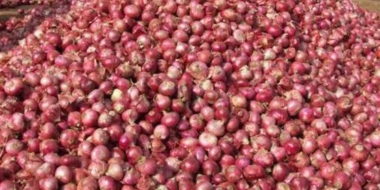 মিসর থেকে সেই ফ্লাইট এসেছে, পেঁয়াজ আসেনি