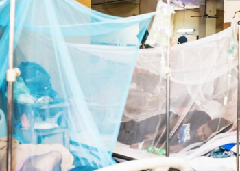 আগস্টের ৩০ দিনে সাড়ে ৩ হাজার ডেঙ্গু রোগী