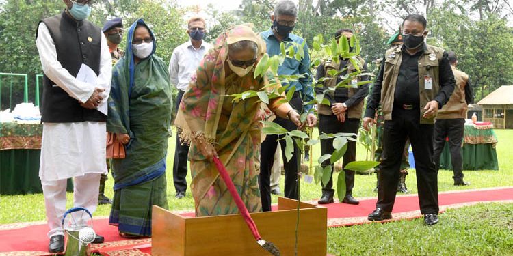 যেখানে যতটুকু জায়গা আছে, বৃক্ষরোপণ করুন: প্রধানমন্ত্রী