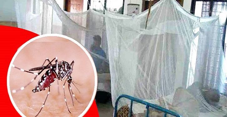 দেশে ডেঙ্গু শনাক্ত ৬০ হাজার ছাড়িয়েছে