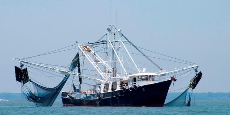 ২০ মে থেকে সাগরে মাছ ধরা নিষেধ