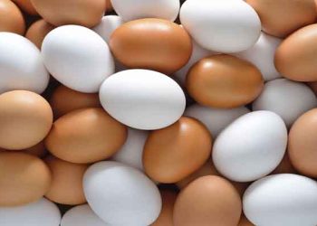 দেশে বছরে উৎপাদিত হয় ২ হাজার ৫৭ কোটি ডিম