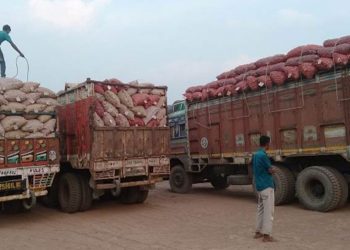 ৪ লাখ ৭৩ হাজার মেট্রিক টন পেঁয়াজ আমদানির অনুমতি