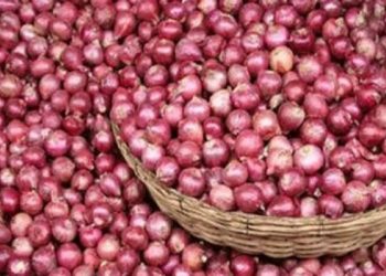 পেঁয়াজে হঠাৎ কারসাজির ঝাঁজ