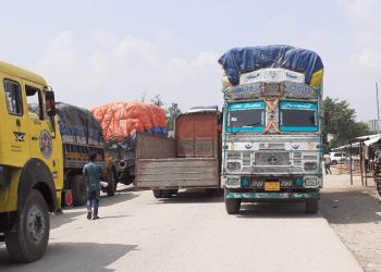১২ দিন পর বাংলাবান্ধা দিয়ে আমদানি-রপ্তানি শুরু